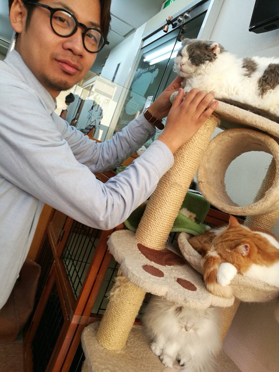 宮本さんと猫